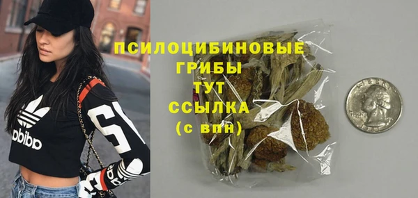 сатива Богданович