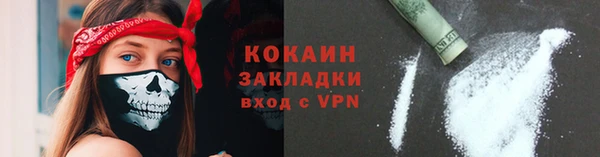 сатива Богданович