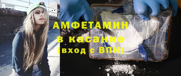 сатива Богданович