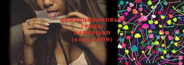 сатива Богданович