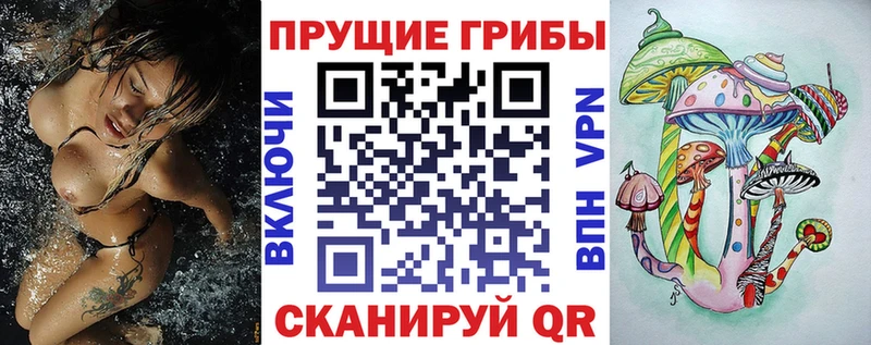 купить наркоту  Афипский  Галлюциногенные грибы Psilocybe 